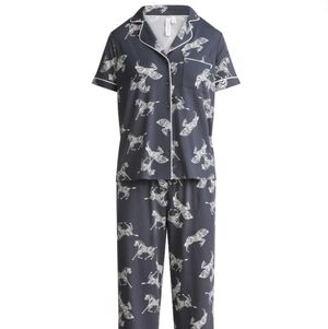 Joyspun Women's Dreamy Soft Collection Pajama Set Greystone Zebra